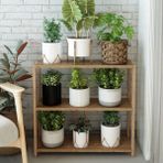 Melis Atlantik Çam Ahşap 3 Katlı Çiçeklik, Saksılık, Çiçek Standı, Dekoratif Raf / Çok Amaçlı Kullanım