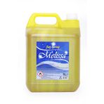 Melissa Oda ve Çamaşır Parfümü 5 L Sun Spring