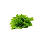 Melissa Officinalis Melisa Oğul Otu Tohumu Paket