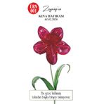 Melodisecil Lotus Toka Kına Nişan Düğün Hediyelik 20 Adet Kişiye Özel