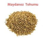 Memişoğlu Baharat 1 kg Maydanoz Tohumu