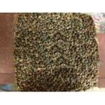 Memişoğlu Baharat 250 gr Ispanak Tohumu