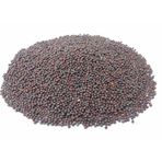 Memişoğlu Baharat Siyah 100 gr Hardal Tohumu