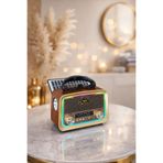 MEMİTA everton rt-301 mini LED Işıklı Nostalji Radyo Bluetooth Güneş Panelli Taşınabilir Şarjlı Hoparlör