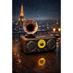 MEMİTA Everton RT-748 gramafonlu Retro Bluetoothlu Radyo USB TF Kartlı 3 Bant Şarjlı