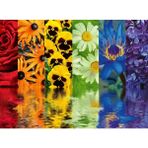 Mena Rise 164462 500 Parça Puzzle Çiçek Yansıma, Çok Renkli