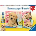 Mena Rise 3X49 Parça Puzzle Puppies Renkli 3+