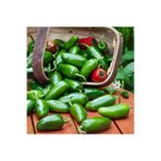 Mera Çiçekçilik Jalapeno Biber Fidesi 10 Adet