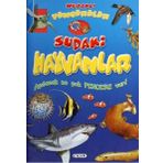 Meraklı Pencereler - Sudaki Hayvanlar - Kollektif Heyet-Kurul-Komisyon