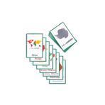 Meraklı Zebra Kıta Eşleştirme Kartları
