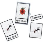 Meraklı Zebra Üç Parçalı Eşleştirme Kartları - Böcekler Seti