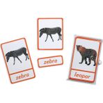 Meraklı Zebra Üç Parçalı Eşleştirme Kartları - Safari Hayvanları Seti