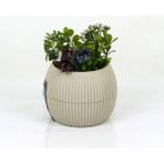 Mercan Saksı 11.5X12 cm 0.70 Lt - Renkli