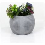 Mercan Saksı 2 Numara 0,35 Litre Su Hazneli Dekoratif Kaktüs Sukulent Saksı 11,8x9,2 cm - Renkli