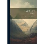 Merlin: Roman in sieben Büchern.