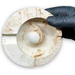 Mermer Desenli Büyük Boy Beton Kül Tablası Küllük 13 cm - Bej