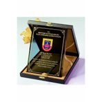 MERTKRİSTAL Lüks Bronz Cam Plaket Deri Kutulu Kurumsal Ödül Plaketi