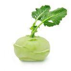 Meşhur Alabaş Tohumu 30 Tohum Kohlrabi Tohumu