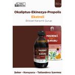Mesirişifa Propolis Şurubu Okaliptus Ekinezya Propolis Ekstreli Bitkisel Karışımlı Şurup 350G