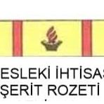 Mesleki İhtisas Şerit Rozeti