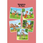 metafortoys 5 Adet Ahşap 4 Parça Yapboz Bebeğimin Ilk Pazıl Seti (ZÜRAFA-CEYLAN-TİLKİ-KANGURU-KAPLAN)