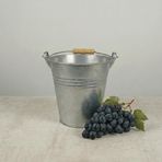 Metal Dekoratif Kova 4 Litre - 21 cm Çok Amaçlı Saplı Galvaniz Saksılık ve Düzenleyici (Galvaniz)