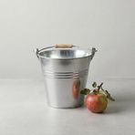 Metal Dekoratif Kova 5 Litre - 20 cm Çok Amaçlı Saplı Galvaniz Saksılık ve Düzenleyici (Galvaniz)
