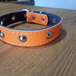 Metal Detaylı Aksesuarlı Deri Köpek Tasma (turuncu)