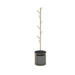Metal modern ayaklı askılık, ağır mantolar için tek kutuplu ağaç şeklinde tasarım. Oturma odası koridorları ve köşe gardıropları için bağımsız zemin rafı