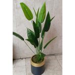 Metal Saksıda 125 cm boyunda yapay spati filyum (barış çiçeği)
