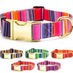 Metal Tokalı Köpek Tasması - Altın Renk Toka (Serape Neo, Small 11-14 inç)
