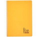 Meteksan Pruva A4 Pet Spiralli Karton Kapaklı 144 Yaprak Turuncu Çizgili Defter