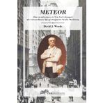 Meteor: How an adventure in New York changed the extraordinary life of Benjamin Vicuna Mackenna (Chilean History for travellers, by David Woods, Band 1)