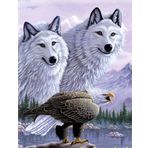 Mettoys 40 x 60 cm 5D Elmas Boyama Kartallı Kurt Resmi Tablosu