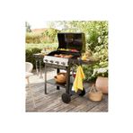 Mevsim Ticaret Gazlı Barbekü Mangal 4 Brülörlü