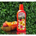 Mey İthalat® Çiçek Coşturan Çiçek Açan Süs Bitkileri İçin