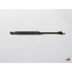 Meydan Ford Focus - Sd - 98 / 05 Bagaj Amortisörü (30CM) Sağ / Sol Aynı Adet XS41F406A10AD