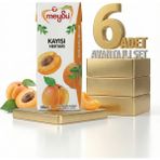 Meysu Kayısı Nektar 6x200 ml.