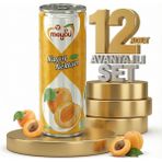 Meysu Kutu Kayısı 12X330 ml