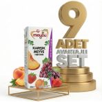Meysu Nektar Karışık 9X200 ml