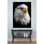 Mgi Design Kartal Portresi Kanvas Tablo, Duvar Dekorasyon, 35x50 cm, Özgürlük ve Liderlik Teması