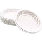 MGZ Beyaz Plastik Tabak 170 mm (17Cm) – Tek Kullanımlık Dayanıklı Yemek Tabağı 100 Adet