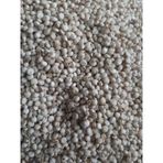 Mh Güvercin Yem Beyaz Sorgun Yerli 5 KG