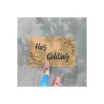 M&H Quality(83) Dijital Baskılı kapı önü paspas Hoşgeldiniz Çok Amaçlı Iç ve Dış Kapı Paspası Siyah - Gold 45 x 70
