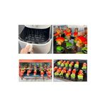 miatamer Airfryer Için Paslanmaz Çelikten Dikey Şiş (10 ADET)