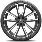 Michelin 255/55 R20 110Y XL Pilot Sport 4 SUV Yaz Lastiği 2026