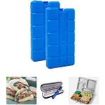 Microcase 400ml İçi Su Dolu Buz Kasedi 48 Saat Korumalı Buz Aküsü 2 Adet Lacivert Al4655