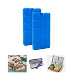 Microcase AL4655 2x400 ml Içi Su Dolu Buz Kasedi 48 Saat Korumalı Buz Aküsü