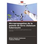 Micropropagation de la pomme de terre (Solanum tuberosum)