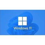 Microsoft Esd FQC-10572 Windows 11 Pro 32/64bıt Tr/Eng Lisans